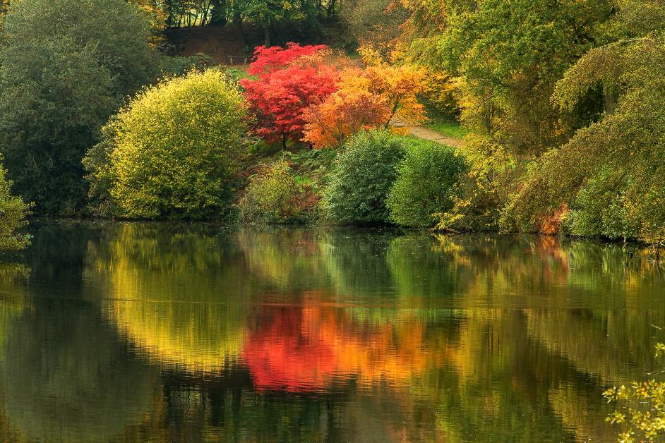 Autumn hues.jpg